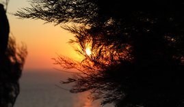 Andacht 23.02.2023
