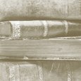 Bibliothek der Theologischen Hochschule Friedensau